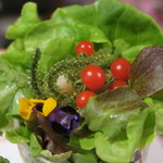 うなぎ屋酒坊・画荘 越後屋 - 28年7月　サラダ　アップ