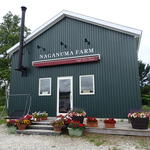 リン・フォレスト - 