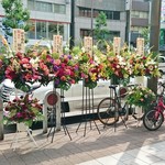 成都正宗担々麺 つじ田 - 開店祝い花