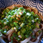 うどん あずま家 - 激ウマの新鮮ネギ！！　　ネギだく～（笑）