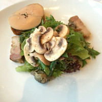 Benoit Alain Ducasse - 