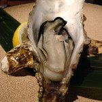 杏ダイニング - 