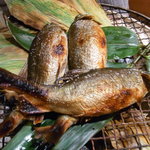 くろぎ - 和歌山鮎塩焼き（'10/10）