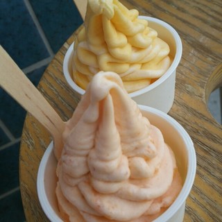 鎌倉ウッドベリーズプラス_0