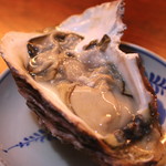 燗酒嘉肴 壺中 - 岩牡蠣