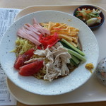 ちゃんこ太五郎 - 冷し中華700円+おにぎり100円