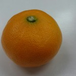 Aコープ - 料理写真: