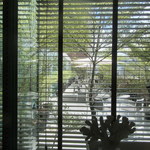 China Tang - テラス席