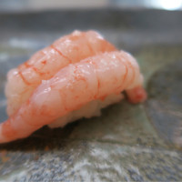 寿司割烹 魚紋 - 甘海老