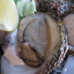 海幸オーシャンフィッシュ - 岩牡蠣は時価です！