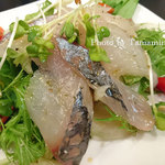 はがじぞう - 本日のカルパッチョ