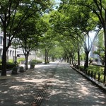 スモーブロー キッチン ナカノシマ - 駅（淀屋橋）から、徒歩１分