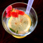 53778638 - ライムの自家製レモネード（価格失念）