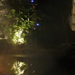 中國菜 浜正 - ビル内の池？