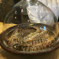 初音鮨 - 