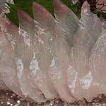 桜川 - 半透明なヒラメの刺身