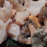 桜川 - ツブ貝　　　　　　　　コリコリの歯ごたえ