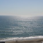 アマルフィイ デラセーラ - 