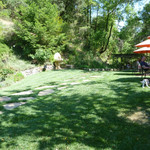 Thomas George Estates - 