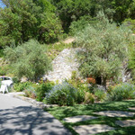 Thomas George Estates - 