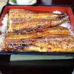 うな豊 - うな重