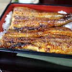 うな豊 - うな重