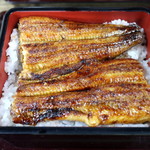 うな豊 - うな重
