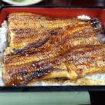 うな豊 - うな重