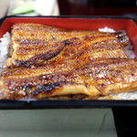 うな豊 - うな重