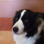 Mar - 今日もイイコ♪