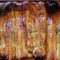鰻 若松 - 