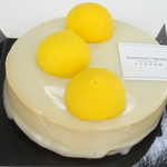 カズノリ イケダ アンディヴィデュエル - ラファエロ