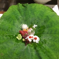 日本料理 弁慶 ホテル日航大阪 - お刺身on the 蓮の葉っぱ