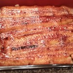 鰻割烹 伊豆栄 本店 - うな重（梅）