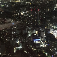 天空の庭　星のなる木 - 景色