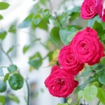 Najeti Hôtel de la Poste - 