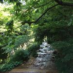 花仙庵 仙仁温泉 岩の湯 - 