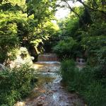 花仙庵 仙仁温泉 岩の湯 - 