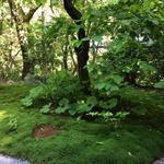 花仙庵 仙仁温泉 岩の湯 - 