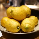 SUGALABO - 宝韶寿レモン