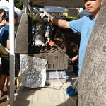 Big Island Abalone - 