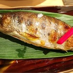 Fuusha - 山女魚
