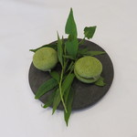 シック プッテートル - 鮎 by シック1