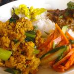 カレーライス ディラン - 