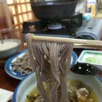 出羽屋 - そばアップ