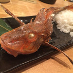 あかつき - 方々ちゃん