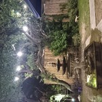 Mother May I Kitchen - 