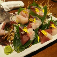 かんてきや 要 - お刺身！