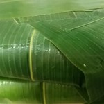 扇一 ます寿し本舗 - 