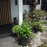 おふくろの味 みむろ - 和風の庭